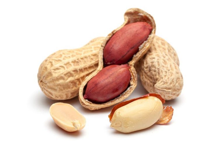Kaya Antioksidan, Ini Loh Manfaat Kacang Tanah Buat Kecantikan