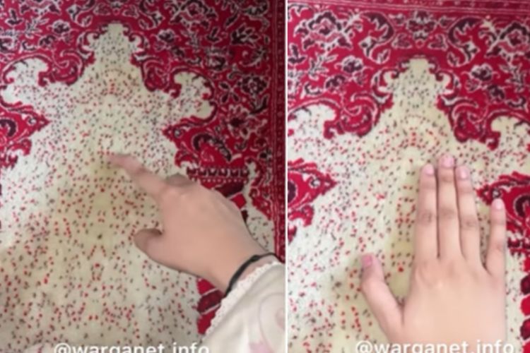 Viral Wanita Berhenti Salat Gara-Gara Merinding Lihat Motif Sajadah: Ini Muka Setan Coy!