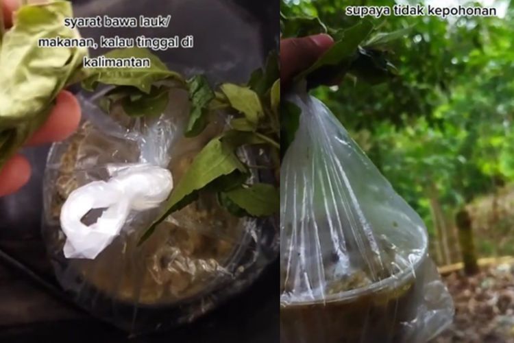 Mitos Kepuhunan di Kalimantan, Bawa Makanan Harus Disertai Daun saat Melewati Hutan 