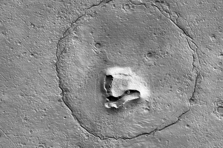 Muncul Penampakan Beruang di Planet Mars, Berikut Penjelasan dari NASA!