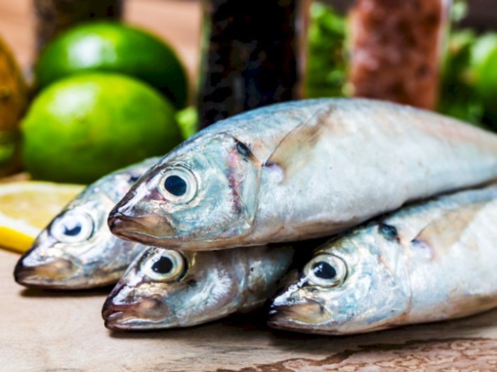 Pemkab Kupang Kampanyekan Gerakan Gemar Makan Ikan, Yuk Bisa Yuk!