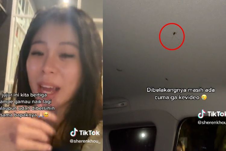 Viral Curhatan Wanita Naik Taksi Online Penuh Kecoa, Langsung Turun Saking Takut dan Jijik