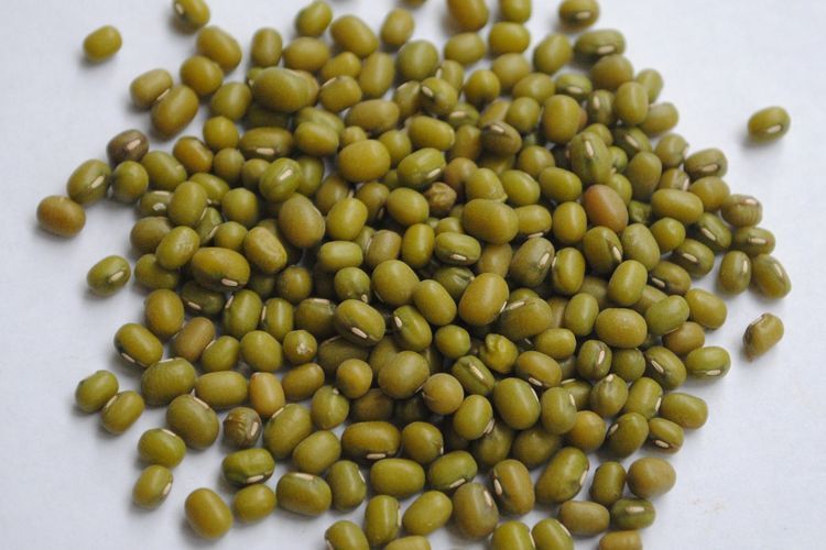 12 Manfaat Kacang Hijau untuk Pria, Wanita, dan Ibu Hamil
