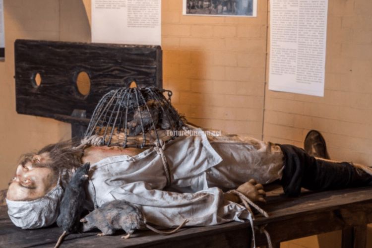 Mengenal 'Rat Torture', Salah Satu Metode Penyiksaan Paling Sadis dan Brutal di Dunia