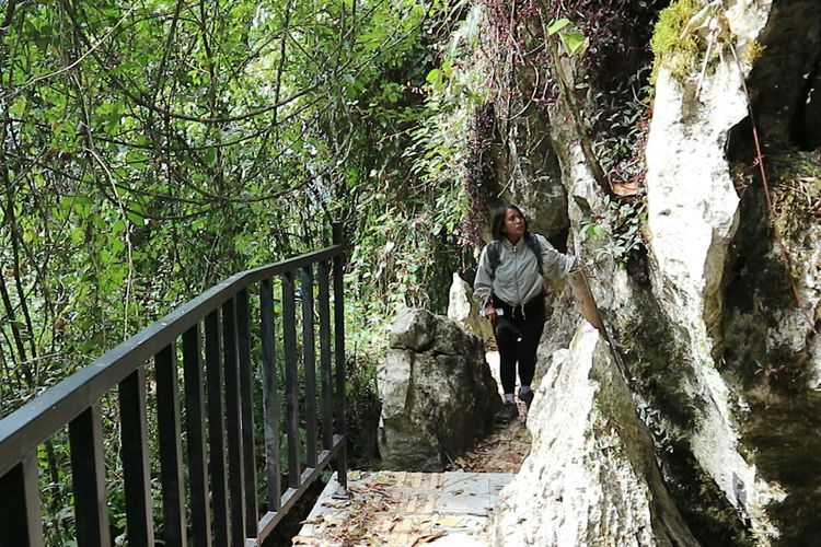 Tangga Menuju Langit di Toraja, Spot Wisata Sekaligus Tempat Memohon Doa 
