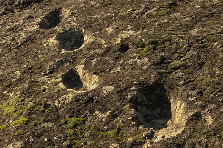 Misteri Temuan 'Jejak Kaki Iblis' Berusia 385.000 Tahun, Tercetak di atas Lava Gunung Api