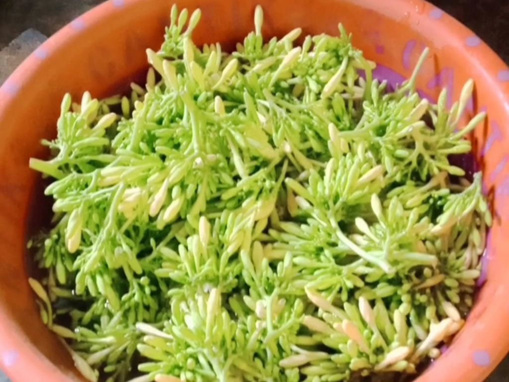 3 Olahan Sayur Bunga Pepaya, Banyak Cara Membuatnya! 
