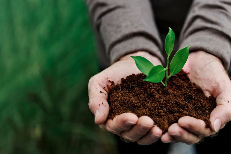 Pemberian Pupuk Gratis Bagi Petani Dapat Jadi Solusi Peningkatan Kesejahteraan di DIY
