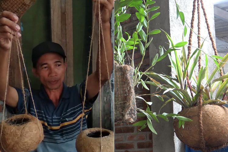 Inspiratif! Pasutri Ini 'Sulap' Sabut Kelapa Jadi Pot Bunga Unik, Cuan Jutaan Rupiah