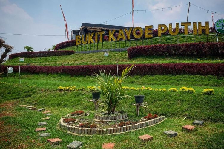 Cuma Bayar Rp10 Ribu, Udah Bisa Nikmati Indahnya Bukti Kayoe Putih Mojokerto 