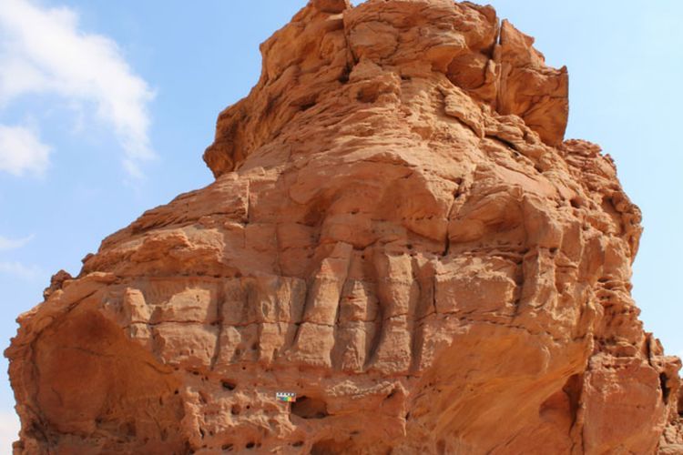 Temuan Patung Unta di Arab Saudi, Berusia 8.000 Tahun, Lebih Tua dari Piramida Giza Mesir