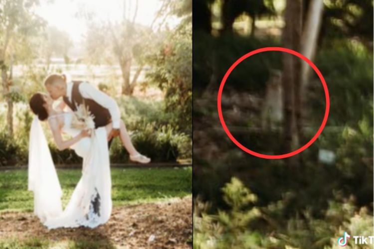 'Arwah' Sang Anak yang Tewas Tenggelam Muncul di Foto Pernikahan Orang Tuanya: Terharu!