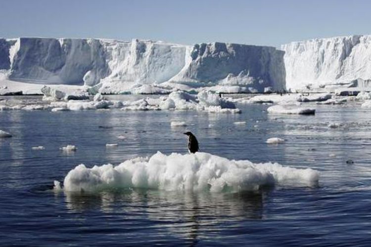 Es Laut Antartika Kembali Menyusut, Ilmuwan Kalang Kabut: Apa Dampaknya?