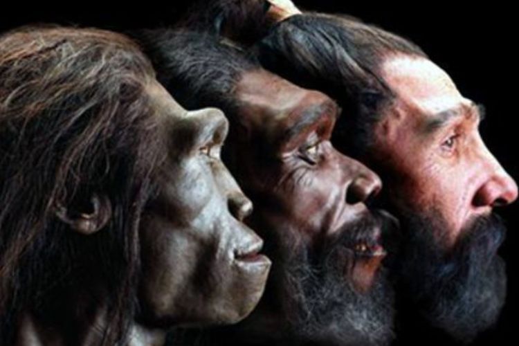 Manusia Purba Neanderthal Punah Bukan karena Seleksi Alam Tapi karena Tidak Berhubungan Badan