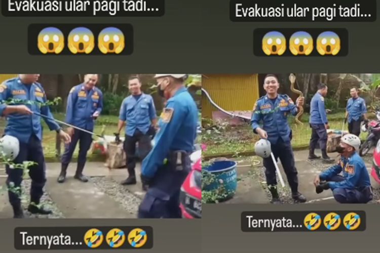 Momen Ngakak Petugas Damkar Evakuasi Ular di Rumah Warga, Sudah Fokus Ternyata Cuma Mainan