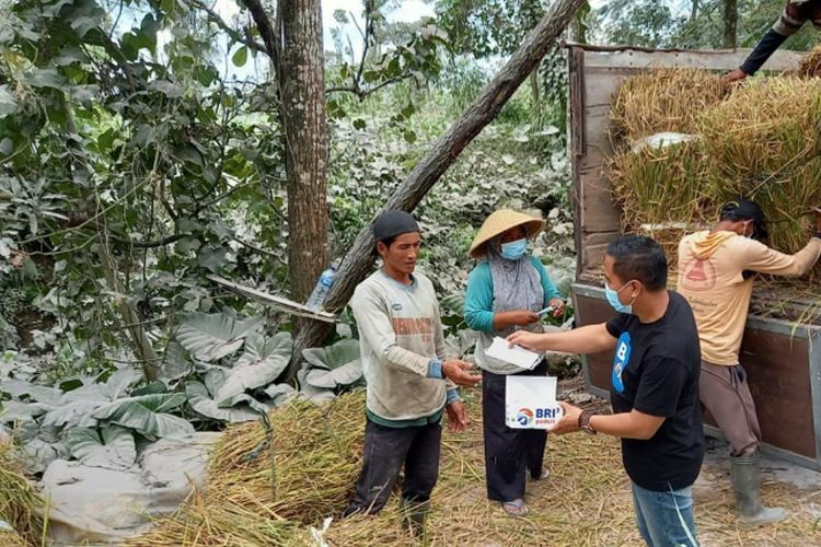 Tanggap Bencana Erupsi Gunung Merapi, BRI Salurkan Bantuan Bagi Warga Terdampak