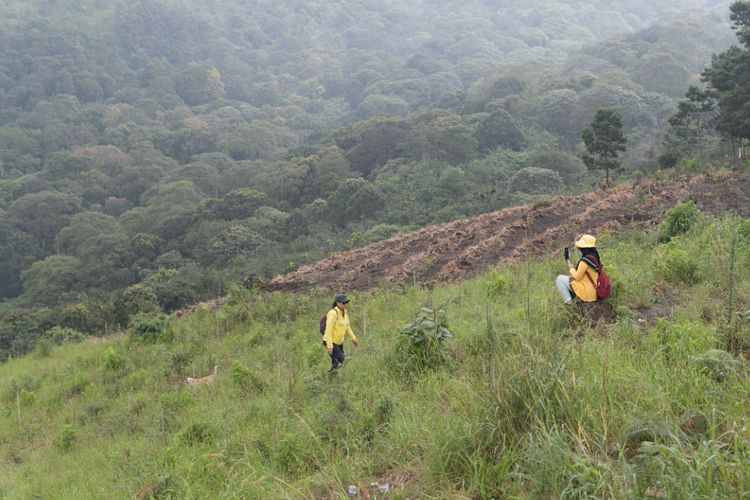 Jalur Putuk Lesung, Cara Terbaik Mendaki Gunung Arjuno Bagi Pemula Meski Penuh Mistis!