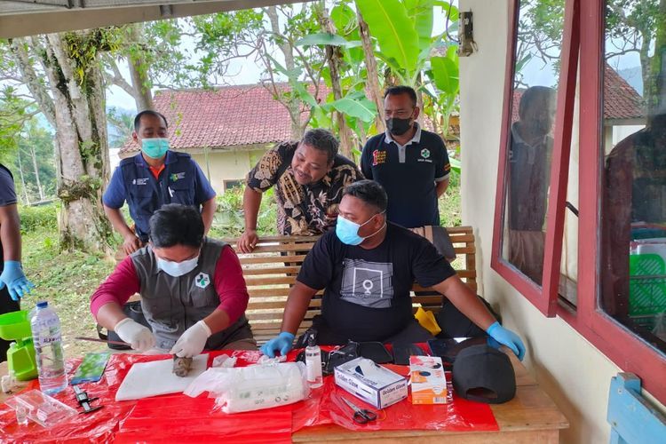 Ngeri! Gara-gara Kencing Tikus, 6 Warga Pacitan Meninggal Dunia