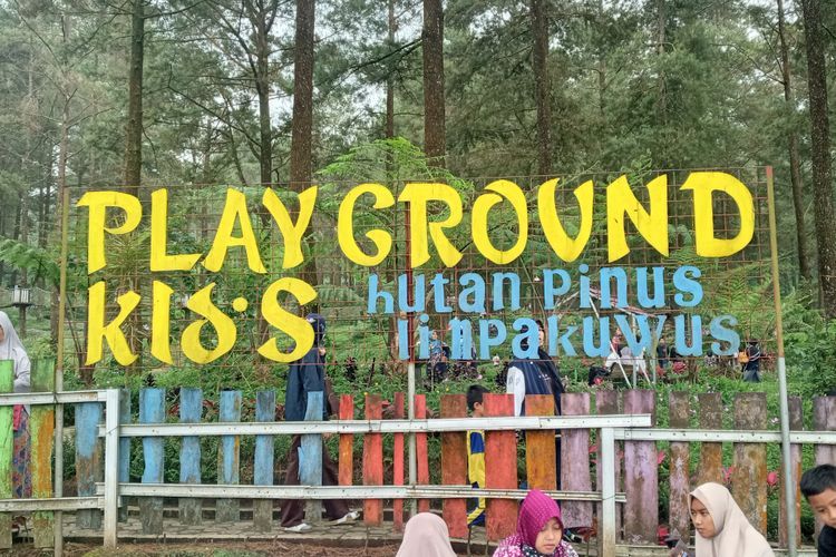 Wisata Hutan Pinus Limpakuwus, Tempat Healing Keren di Banyumas Bisa Hilangin Pusing