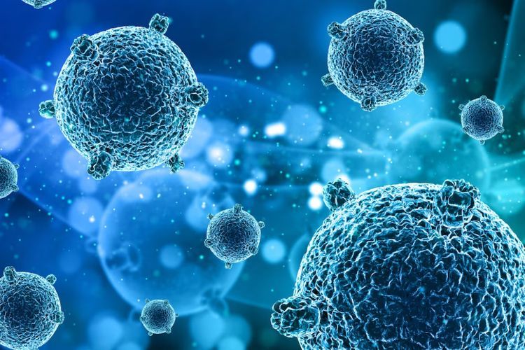 5 Orang di Tanzania Meninggal Akibat Virus Marburg, Alami Pendarahan hingga Gagal Ginjal