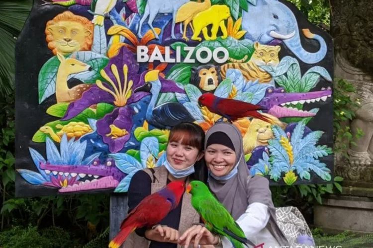 Hore! Kebun Binatang Bali Berikan Diskon di Hari Libur Nyepi