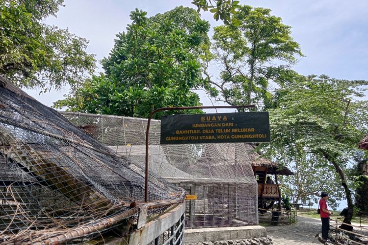 Berkunjung ke Kebun Binatang Mini di Nias, Ada Burung Beo Langka Namanya Magio