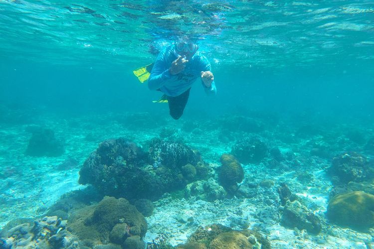  Pantai Sebanjar, Punya Keindahan Bawah Laut Memukau Terbentang di Pulau Alor
