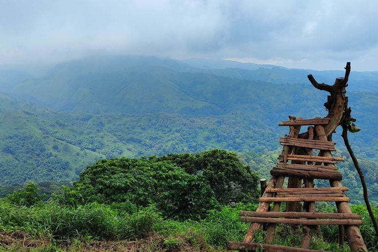 Bukit Lorokan Wisata Alam di Kabupaten Mojokerto
