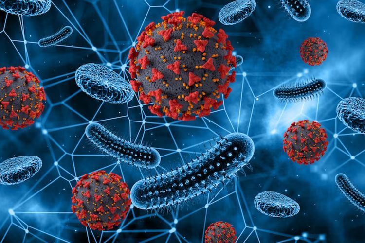 Virus Omicron Baru Varian 'Arcturus' Terdeteksi di Singapura dan Brunei, Jakarta Aman?