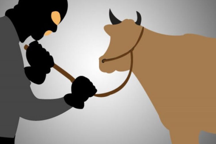 Dua Maling Lembu Tewas Diamuk Massa di Deliserdang, Beraksi Naik Mobil Jelang Sahur