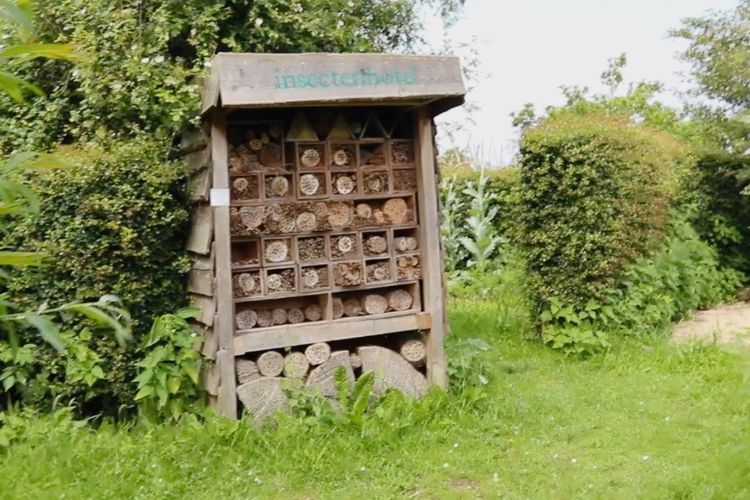 Mengenal Insect Hotel, Rumah Serangga Penyeimbang Ekosistem