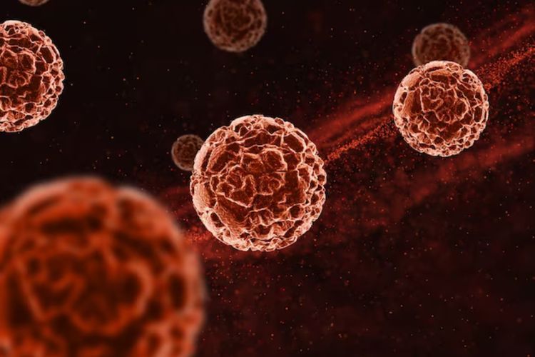 Sebabkan Puluhan Orang Tewas di Afrika, Begini Gejala dan Pencegahan Virus Marburg