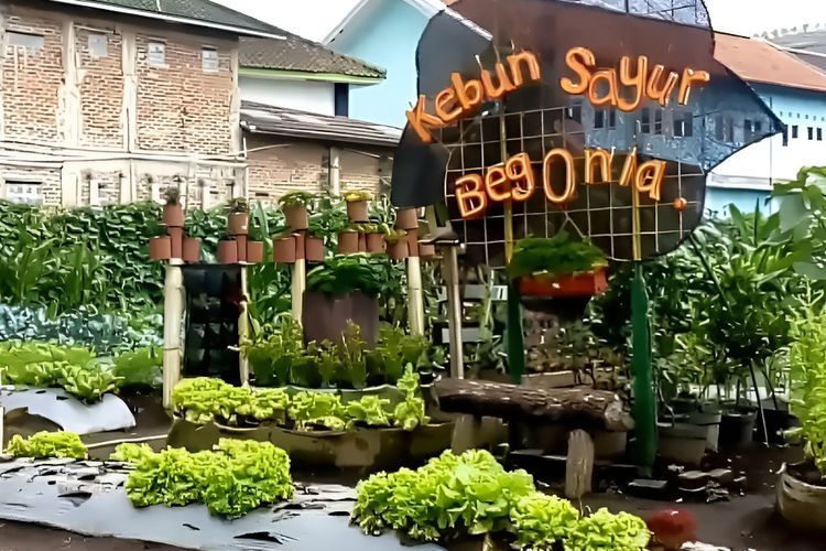 Kebun Begonia Lembang, Spot Instagramable yang Punya Program Edukasi Ramah Anak