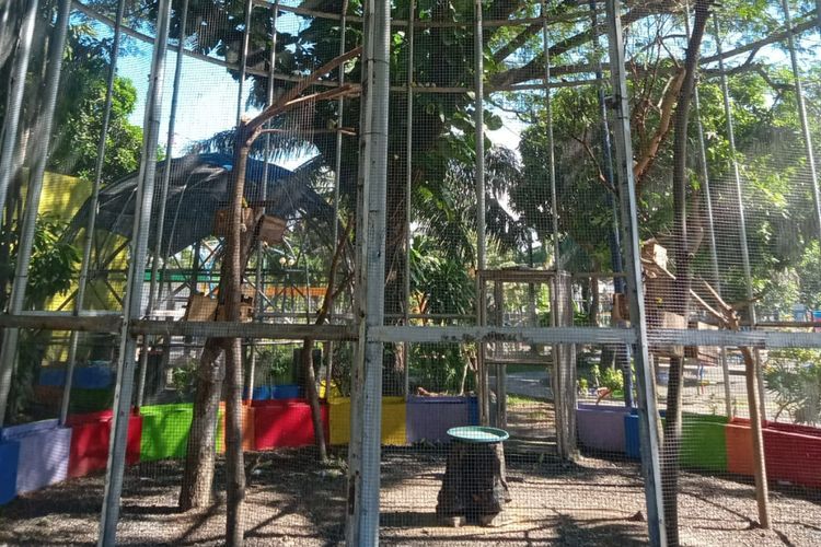 Baru Diresmikan Bupati, Puluhan Burung Hias di Alun-alun Lamongan Digondol Maling