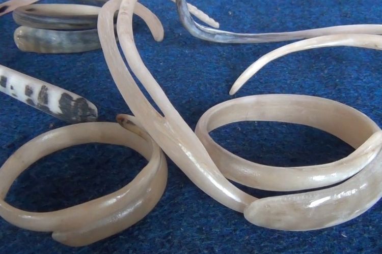 Keren, Pengrajin di Bandung Barat Sulap Tanduk Domba Jadi Barang Istimewa Bernilai Seni