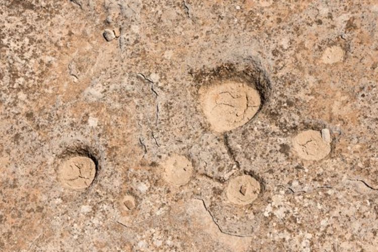 Simbol Misterius Ditemukan di Gurun Qatar, Terukir di Atas Batu Bikin Arkeolog Bingung