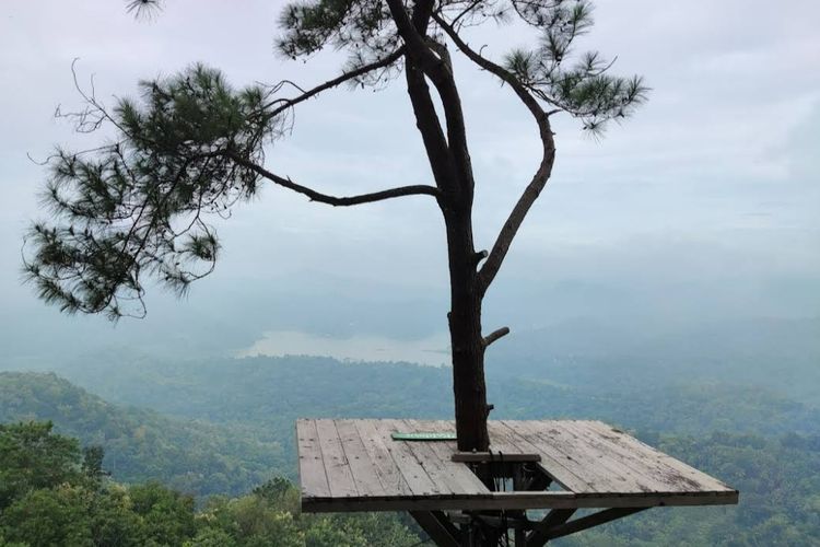 Kalibiru, Destinasi Wisata Jogja di Atas Awan Bisa Bikin Pengunjung Takjub