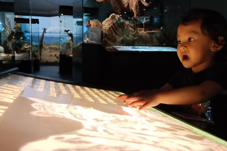Wisata Edukasi Bareng Buah Hati di Museum Satwa Jawa Timur Park 2