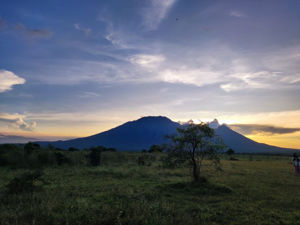 Menikmati Keindahan Senja Bersama Kawanan Fauna di Taman Nasional Baluran 