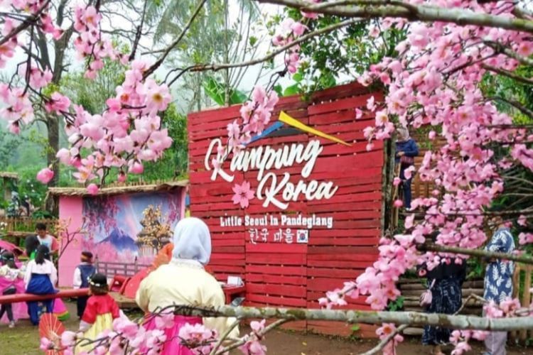 Gak Perlu ke Luar Negeri, Pandeglang Punya Destinasi Wisata Kampung Korea Wajib Dikunjungi