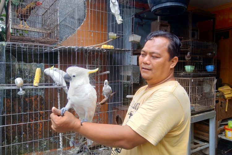 Lestarikan Satwa Agar Tak Punah, Polisi Ini Sulap Kediamannya Jadi 'Markas' Burung Langka