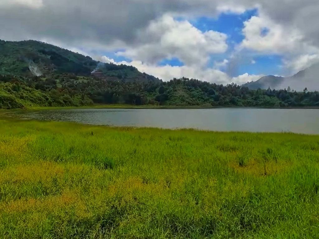 Telaga Dringo: Keindahan Miniatur Ranu Kumbolo di Dieng dan Mitos Kerbau Bertanduk Emas