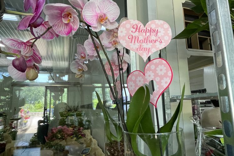 Toko Bunga di Belgia Alami Peningkatan Permintaan 50 Persen pada Perayaan Hari Ibu