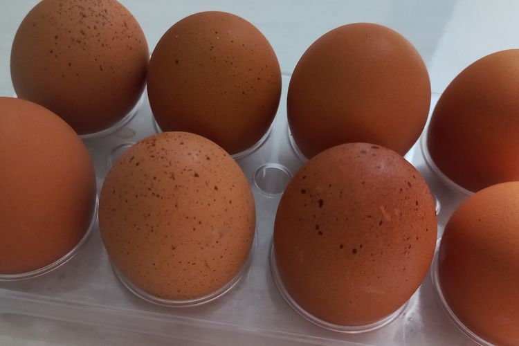 Bolehkah Cuma Makan Telur Setiap Hari untuk Penuhi Protein? Ini Jawaban Ahli Gizi