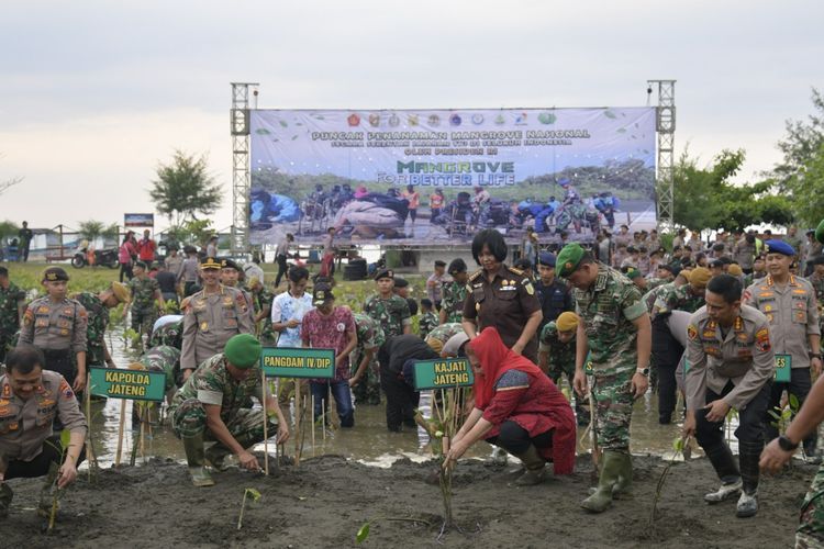 Sikapi Cuaca Panas, Mbak Ita Galakkan Penghijauan dan Perbanyak Taman Pasif