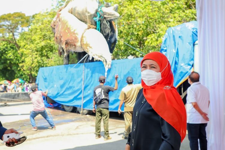 Kawal Evakuasi Bangkai Paus Balin, Gubernur Khofifah: Dibawa ke Museum Jatim Park