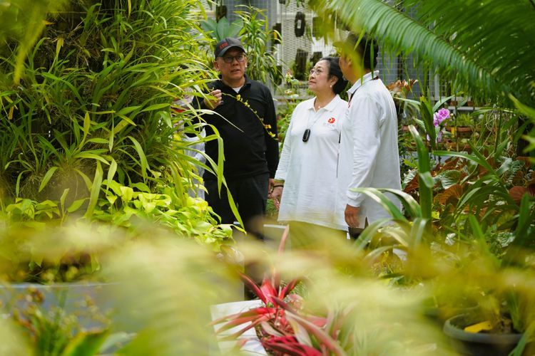 Momen HUT Ke-206 Kebun Raya Bogor, Megawati Resmikan Rumah Kaca Anggrek Soedjana Kassan