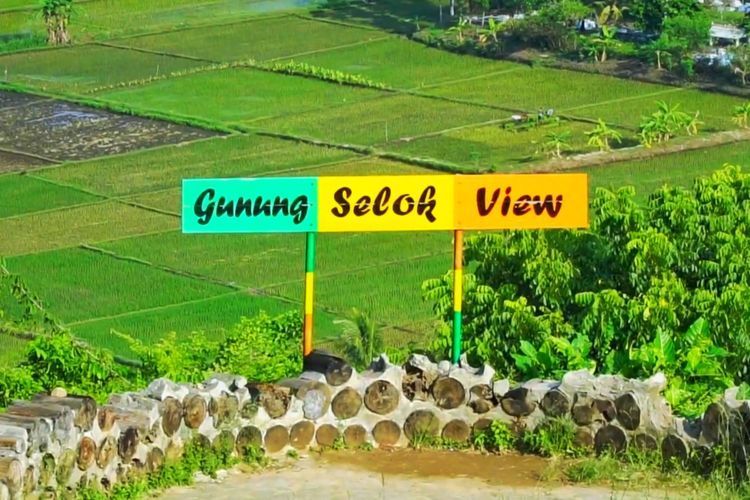 Mitos Gunung Selok Cilacap, Menyimpan Kisah Keajaiban Bunga Wijayakusuma