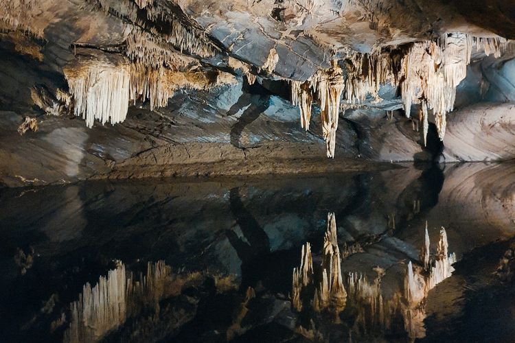 Menelusuri Keindahan Geologi dan Sejarah di Gua Terkenal Belgia: De Grotten van Han