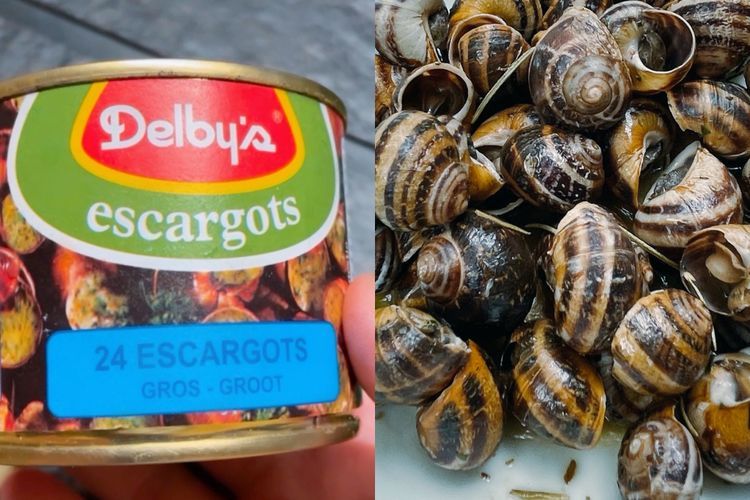 10 Fakta Menarik Escargot, Sisi Lain Kuliner Prancis yang Menggugah Selera